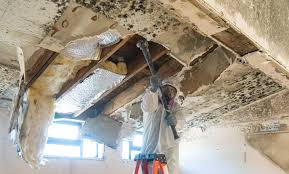 Mold Remediation for Rental Properties in Benwood, WV